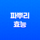 파뿌리 효능과 건강에 미치는 영향 29