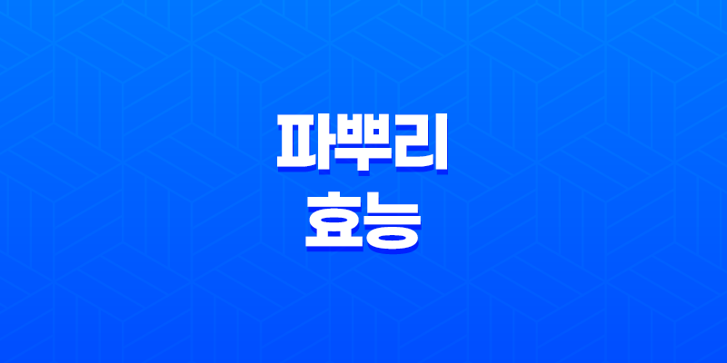 파뿌리 효능과 건강에 미치는 영향 8 파뿌리 효능과 건강에 미치는 영향 7