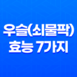 우슬(쇠물팍) 효능 7가지 17