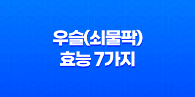 우슬(쇠물팍) 효능 7가지 41