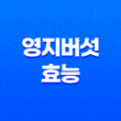 영지버섯 효능, 먹는방법, 부작용, 보관법 15