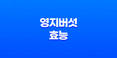 영지버섯 효능, 먹는방법, 부작용, 보관법 47