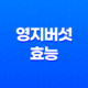 영지버섯 효능, 먹는방법, 부작용, 보관법 15