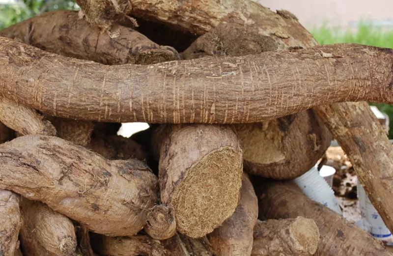 칡의 효능과 부작용, 10가지 이유로 인기 있는 건강 식품 7 칡의 효능과 부작용
