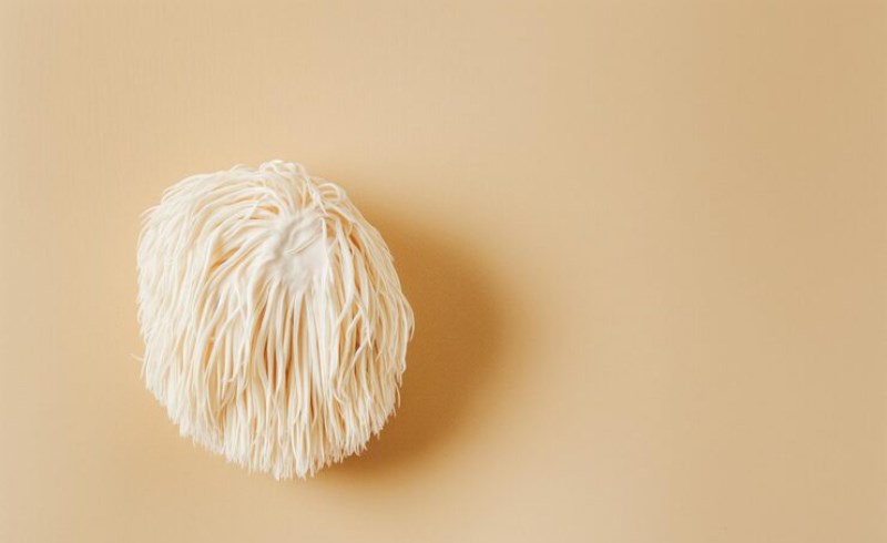 노루궁뎅이버섯 5가지 효능 알아보기 9 면역 기능을 강화하여 질병 예방