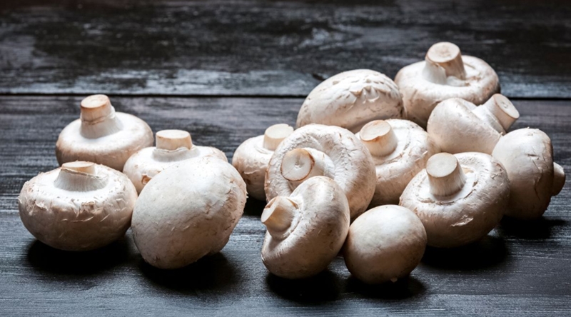 양송이버섯 효능, 영양성분, 부작용 7 양송이버섯 효능, 영양성분, 부작용