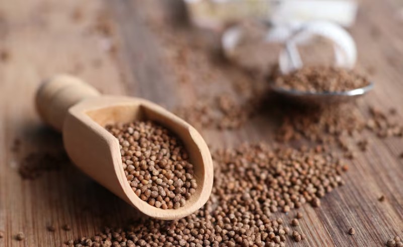 들깨의 놀라운 효능과 영양성분