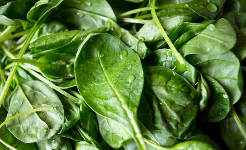 시금치 효능 및 부작용 9