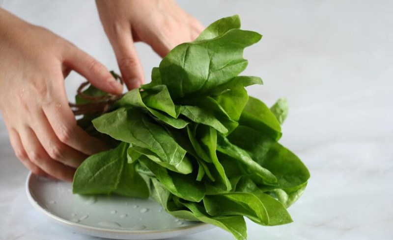 시금치 효능 및 부작용