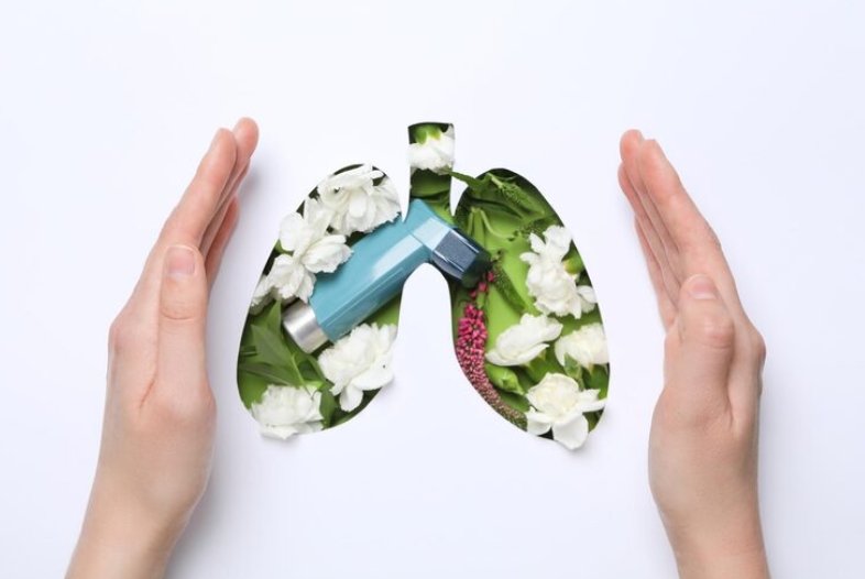 봄철 호흡기 건강을 위한 배즙의 효능과 이점 7 봄철 호흡기 건강을 위한 배즙의 효능과 이점