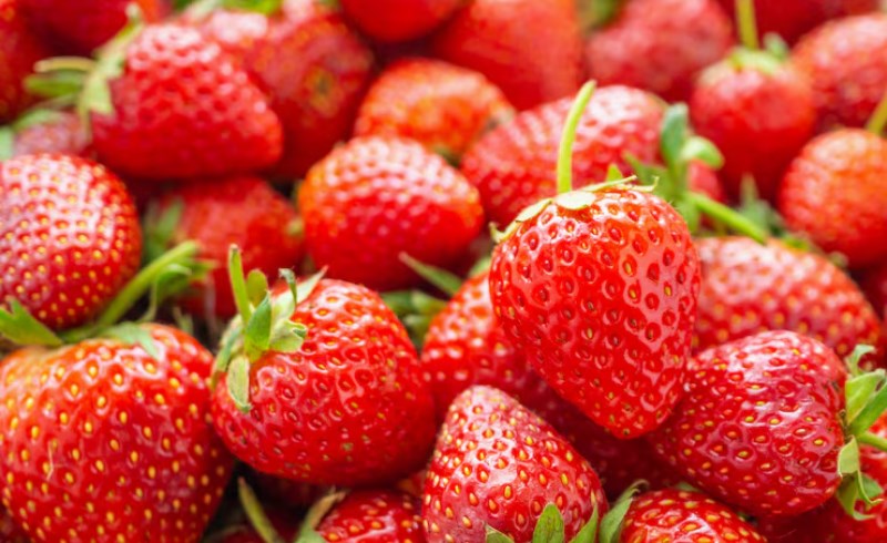 딸기의 주요 효능