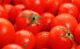 토마토 효능 및 부작용