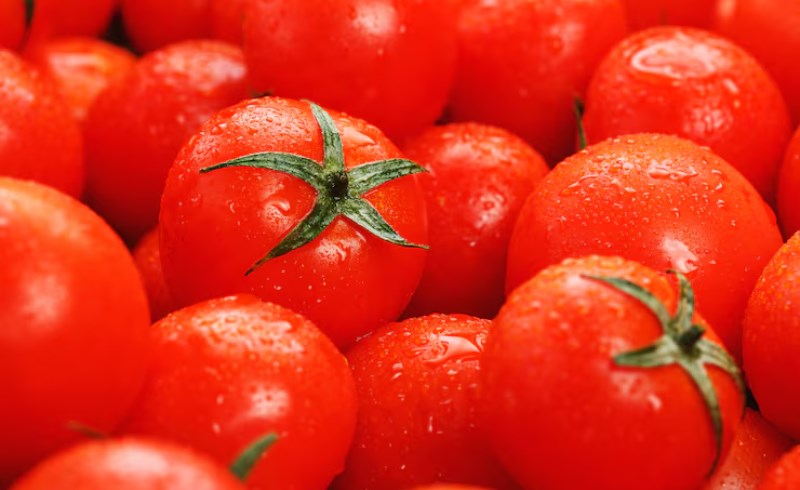 토마토 효능 및 부작용 7 토마토 효능 및 부작용