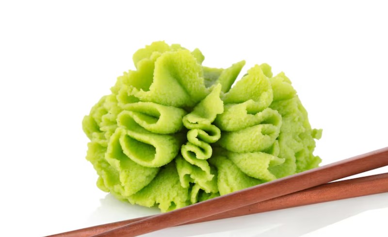 식욕 증진과 거식증 예방