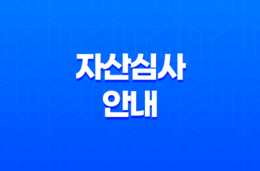 자산심사 안내, 전세 및 월세 대출 자산심사 기준 11