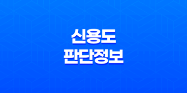 신용도 판단정보 확인 및 관리 33