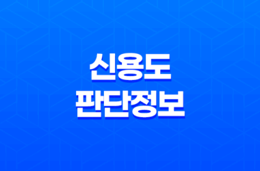 신용도 판단정보 확인 및 관리 27