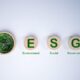 ESG 뜻 경영 필요성과 투자방법 15
