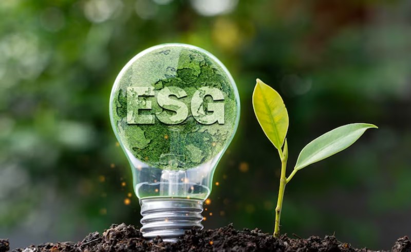 ESG 경영이란 무엇일까요 - ESG 의 개념 이해하기