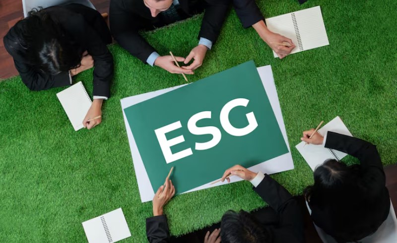 ESG 경영의 구체적인 사례 - ESG 경영 사례