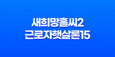 정부지원대출 새희망홀씨2와 근로자햇살론15 총정리 51