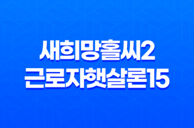 정부지원대출 새희망홀씨2와 근로자햇살론15 총정리 9