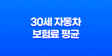 대한민국 만 30세 자동차 보험료 평균 39