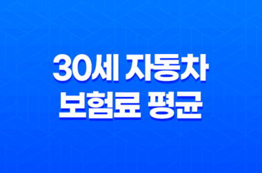 대한민국 만 30세 자동차 보험료 평균 21