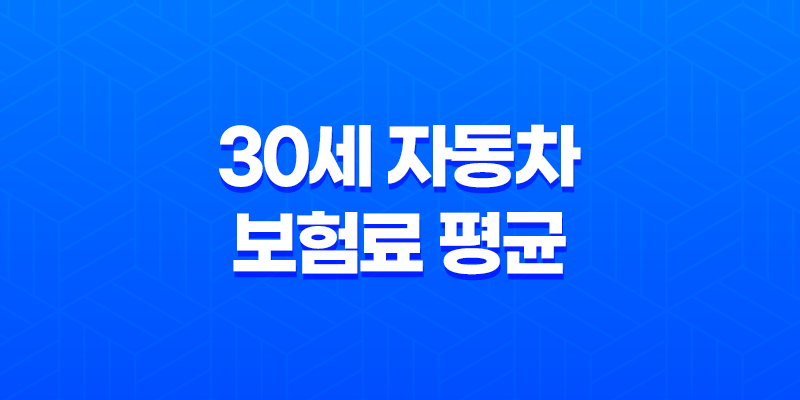 대한민국 만 30세 자동차 보험료 평균 8 대한민국 만 30세 자동차 보험료 평균 7