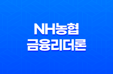 NH농협 금융리더론 마이너스통장 대출자격, 한도, 금리 21
