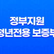 정부지원 청년전용 보증부 전세 월세 보증금 대출 조건 11