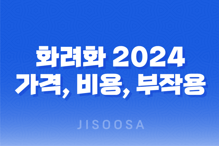 화려화 2024 가격, 비용, 부작용