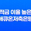 적금 이율 높은 애큐온저축은행 나날이적금: 가입 꿀팁과 후기(2024, 2025년) 21