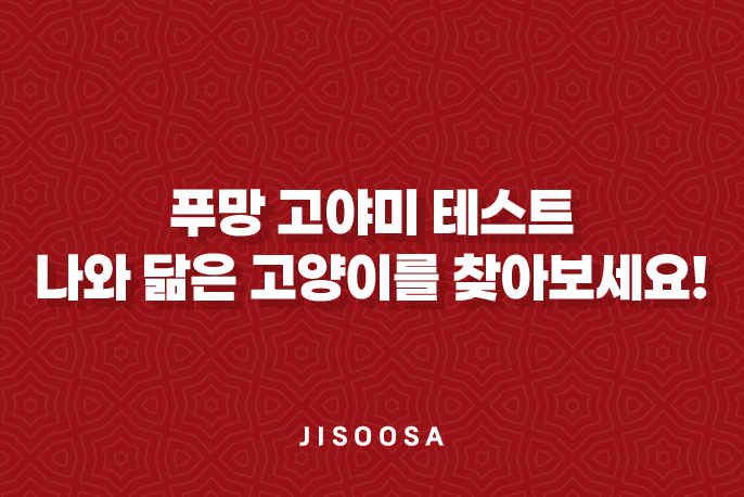 푸망 고야미 테스트, 나와 닮은 고양이를 찾아보세요!