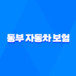 동부 자동차 보험 - 지금 바로 알아야 할 7가지 긴급 정보 3
