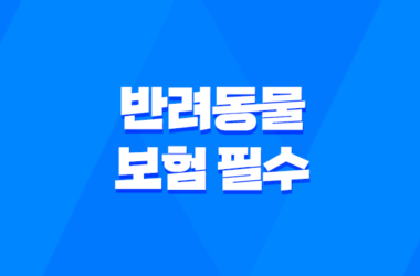 2025년 최신 정보 - 반려동물 보험 필수가 되어야 할까? 13