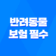2025년 최신 정보 - 반려동물 보험 필수가 되어야 할까? 15