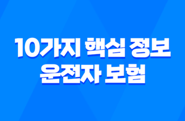 10가지 핵심 정보 - 운전자 보험 렌터카 운전 시 보장 범위 완벽 분석 17