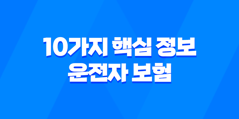10가지 핵심 정보 - 운전자 보험 렌터카 운전 시 보장 범위 완벽 분석 7