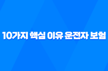10가지 핵심 이유 운전자 보험 택시 운전자 필수 가입 16