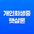 개인회생중햇살론 및 사금융 대환대출 자격 알아보기 13