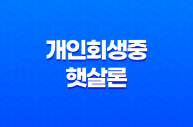 개인회생중햇살론 및 사금융 대환대출 자격 알아보기 21