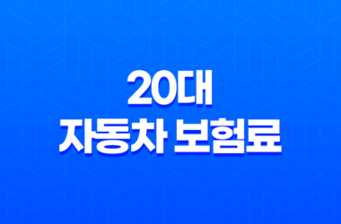 20대 자동차 보험료 - 가장 저렴하게 가입하는 5가지 방법 11