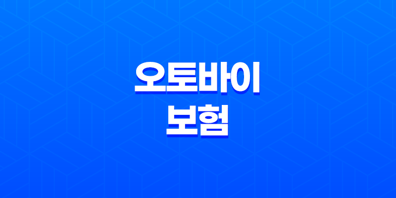 오토바이 보험 - 20대 필수 가입 가이드 3가지 8 오토바이 보험 - 20대 필수 가입 가이드 3가지 7