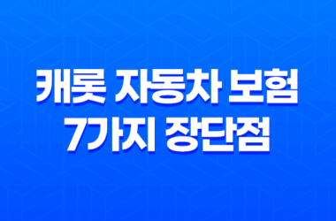 캐롯 자동차 보험 - 7가지 장단점 및 후기 분석 (디시 포함) 15