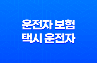 10가지 핵심 이유 운전자 보험 택시 운전자 필수 가입 13