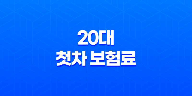 20대 첫차 보험료 - 가장 저렴하게 가입하는 5가지 방법 8 20대 첫차 보험료 - 가장 저렴하게 가입하는 5가지 방법 7