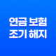 5가지 방법으로 연금 보험 조기 해지 손해 최소화하기 35