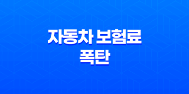 2025 자동차 보험료 폭탄 피하는 5가지 비밀 전략 41