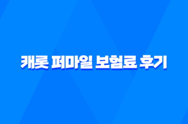 캐롯 퍼마일 - 보험료 후기 7가지 꿀팁 대방출 9